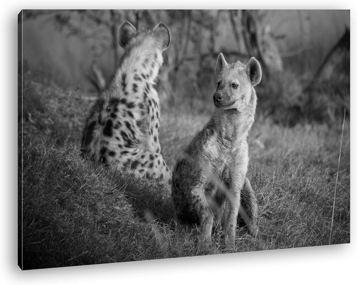 deyoli Hyänen in Afrika Effekt: Schwarz/Weiss Format: 60x40 als Leinwandbild, Motiv fertig gerahmt a