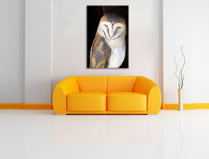 Pixxprint Schleiereule, Format: 100x70 auf Leinwand, XXL riesige Bilder fertig gerahmt mit Keilrahme