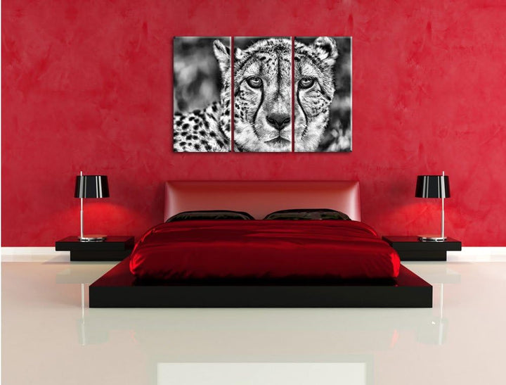 Pixxprint Monocrome, ruhender Gepard 3-Teiler Leinwandbild 120x80 Bild auf Leinwand