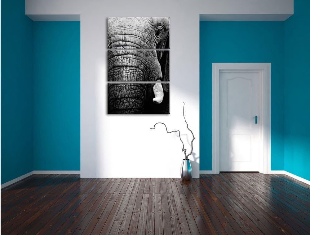 Pixxprint Elefant im Porträt als Leinwandbild/Grösse: 3 Teilig (120x80) cm/Wandbild/Kunstdruck/ferti