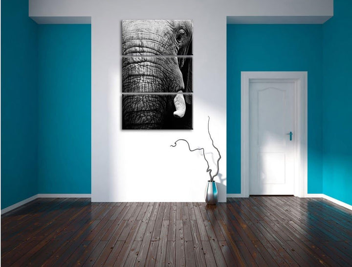 Pixxprint Elefant im Porträt als Leinwandbild/Grösse: 3 Teilig (120x80) cm/Wandbild/Kunstdruck/ferti
