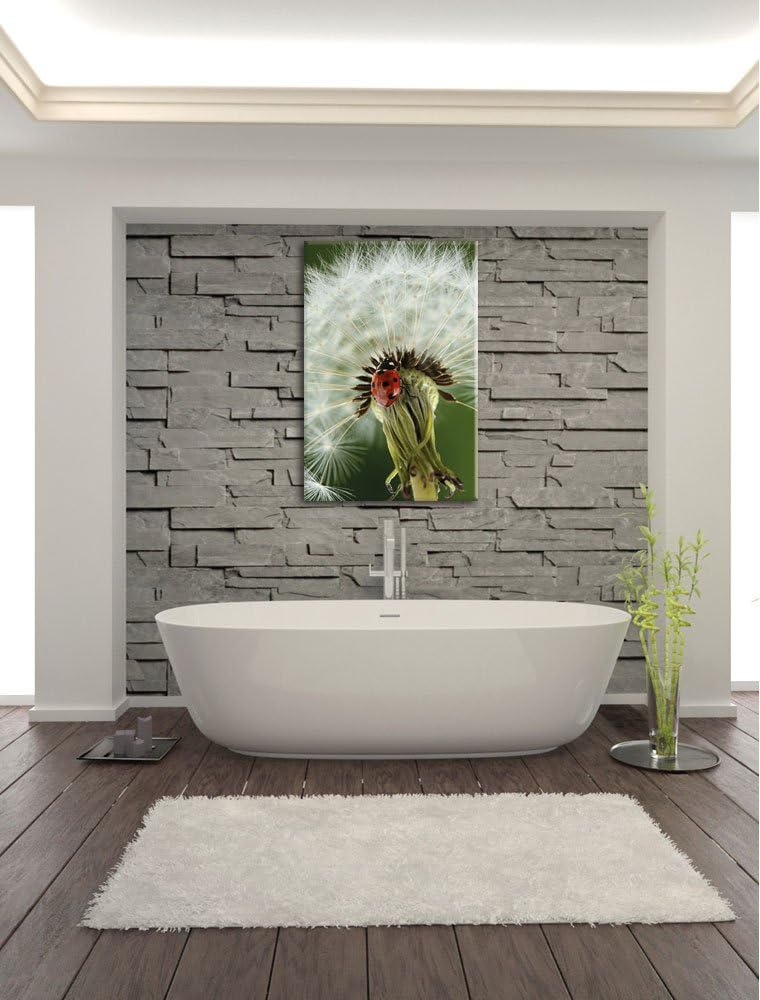 Pixxprint Marienkäfer auf Pusteblume / 100x70cm Leinwandbild bespannt auf Holzrahmen/Wandbild Kunstd