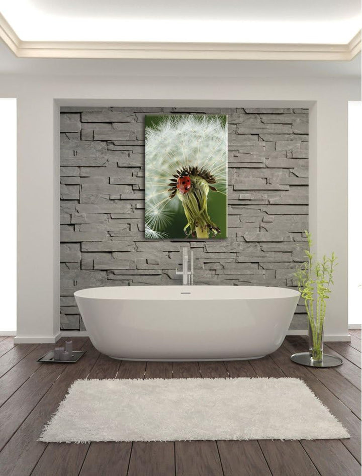 Pixxprint Marienkäfer auf Pusteblume / 100x70cm Leinwandbild bespannt auf Holzrahmen/Wandbild Kunstd