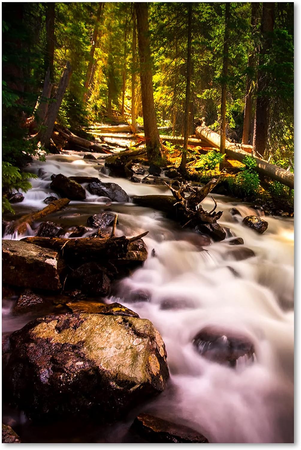 Feeby Wandbilder Wald Felsen Bach Landschaft XXL 80x120 cm 1Teilig Modern Vlies Bilder Leinwandbilde