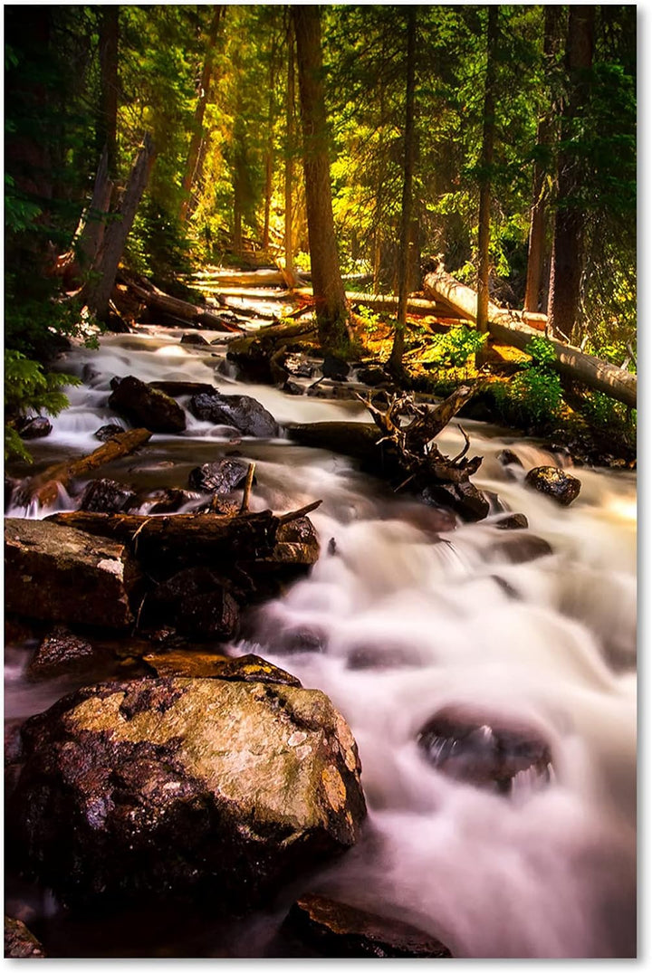 Feeby Wandbilder Wald Felsen Bach Landschaft XXL 80x120 cm 1Teilig Modern Vlies Bilder Leinwandbilde