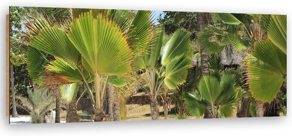 Wandbild XXL Blätter Deko Kunst Bilder Natur Grün 150x50 cm Deko paneel 150x50 cm Grün_C, Deko panee