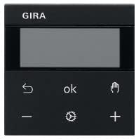Gira RTR Display 5393005