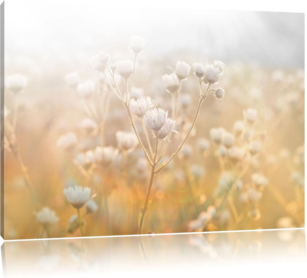 Pixxprint Romantische Blumenwiese Schwarz/Weiss als Leinwandbild/Grösse: 100x70 / Wandbild/Kunstdruc