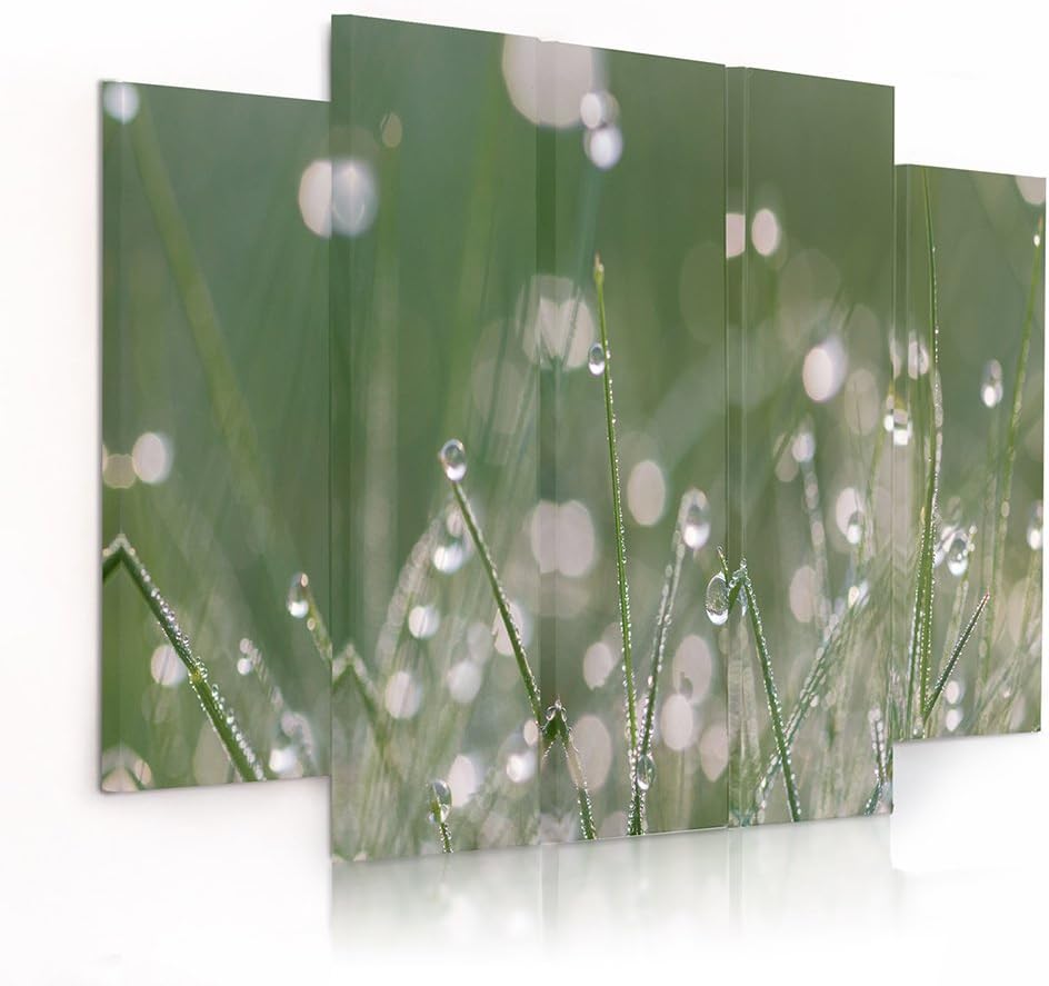 Feeby Frames, Leinwandbild Bilder Wand Bild - 5 Teile - Wandbilder Kunstdruck (TAUTROPFEN GRAS, GRÜN