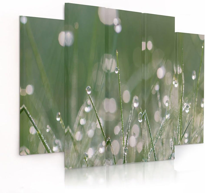 Feeby Frames, Leinwandbild Bilder Wand Bild - 5 Teile - Wandbilder Kunstdruck (TAUTROPFEN GRAS, GRÜN