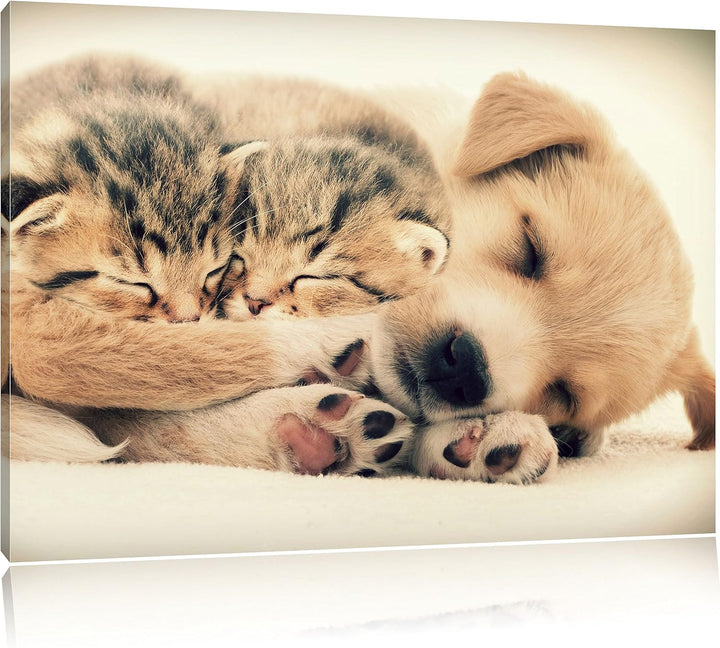 Pixxprint Hundewelpe mit kleinen Kätzchen / 100x70cm Leinwandbild bespannt auf Holzrahmen/Wandbild K
