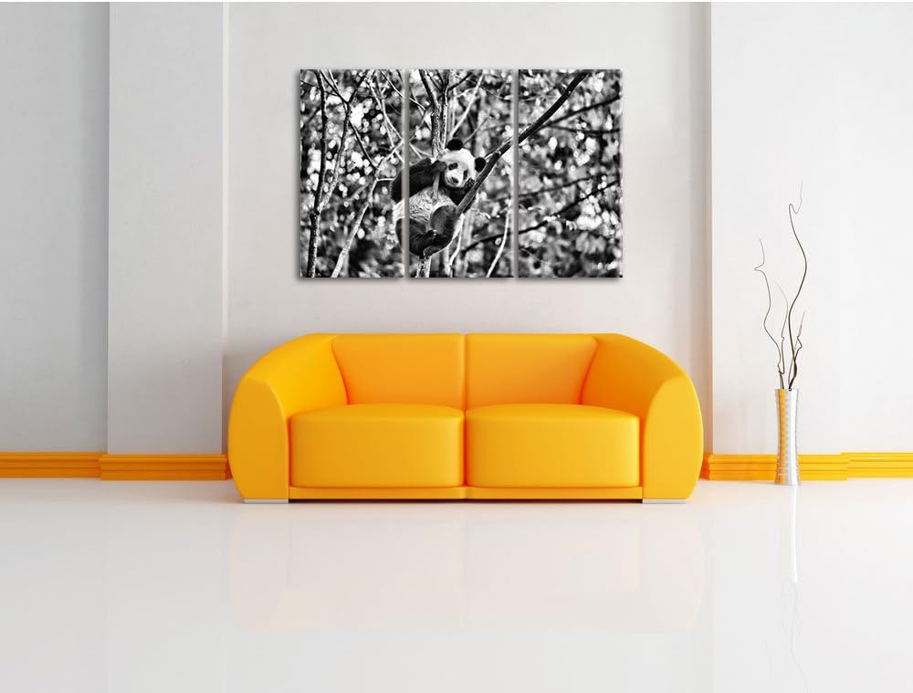 Pixxprint niedlicher Pandabär auf Baum als Leinwandbild/Grösse: 3 Teilig (120x80) cm/Wandbild/Kunstd