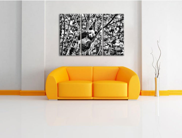 Pixxprint niedlicher Pandabär auf Baum als Leinwandbild/Grösse: 3 Teilig (120x80) cm/Wandbild/Kunstd