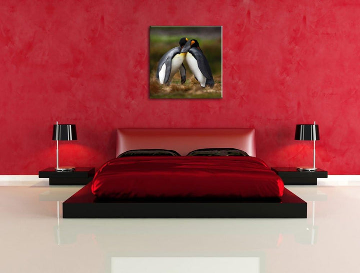 Umarmende Pinguine in der Antarktis, Format: 70x70 auf Leinwand, 70x70
