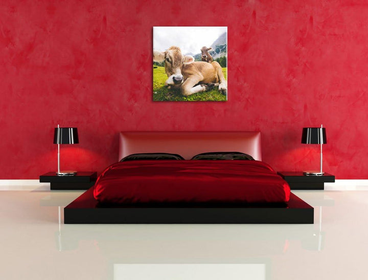 Almkuh in den Bergen, Format: 70x70 auf Leinwand, XXL riesige Bilder fertig gerahmt mit Keilrahmen,