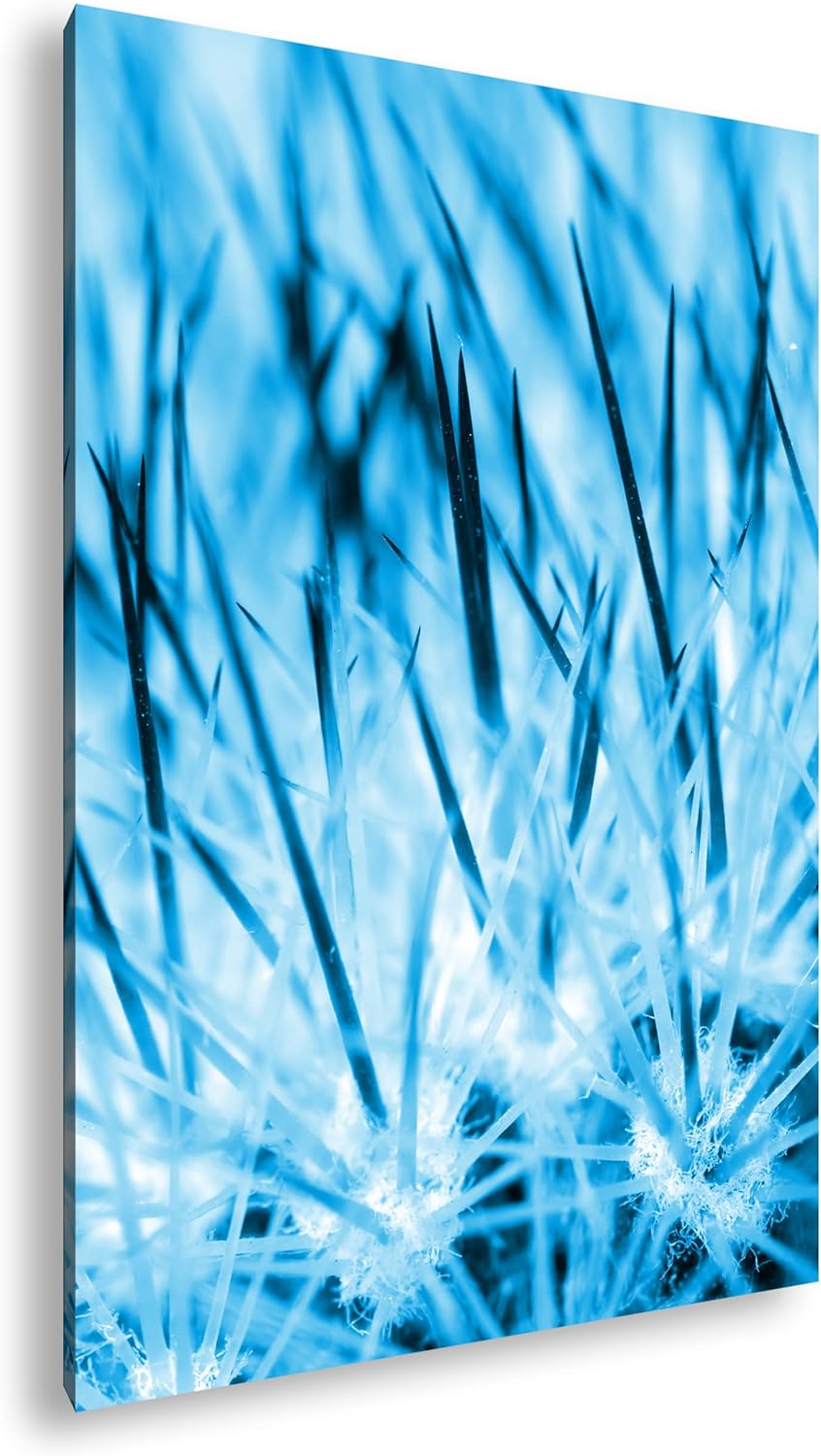 deyoli Nadeln eines Kaktus Format: 80x60 Effekt: Monocrome Blau als Leinwand, Motiv fertig gerahmt a