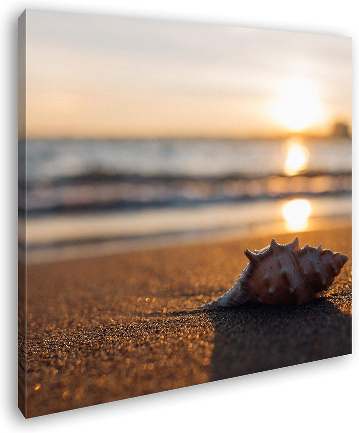 deyoli einzelne Muschel am Strand Format: 70x70 als Leinwand, Motiv fertig gerahmt auf Echtholzrahme