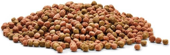OASE Dynamix Koi Pellet gross 8 L, Fischfutter, Koifutter, Teichfischfutter, 7- 8 mm grosse Pellets,