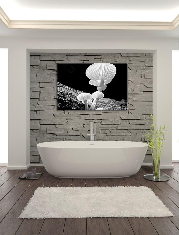 Pixxprint Dark weisse Pilzeauf Leinwand, XXL riesige Bilder fertig gerahmt mit Keilrahmen, Kunstdruc