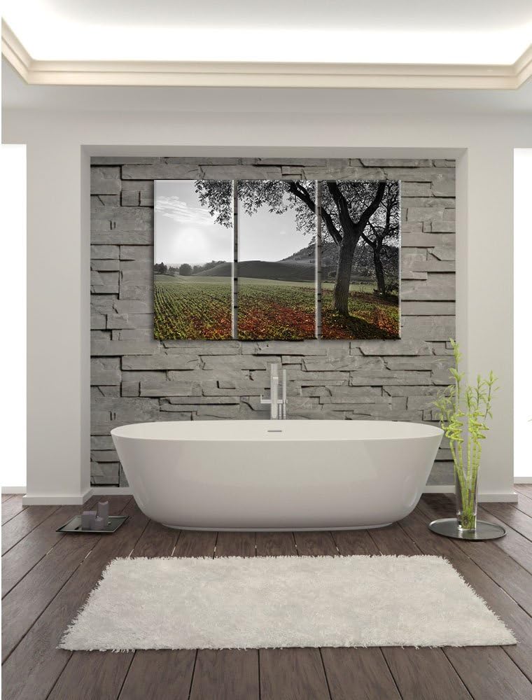 Pixxprint Landschaft im Herbst B&W Detail 3-Teiler Leinwandbild 120x80 Bild auf Leinwand
