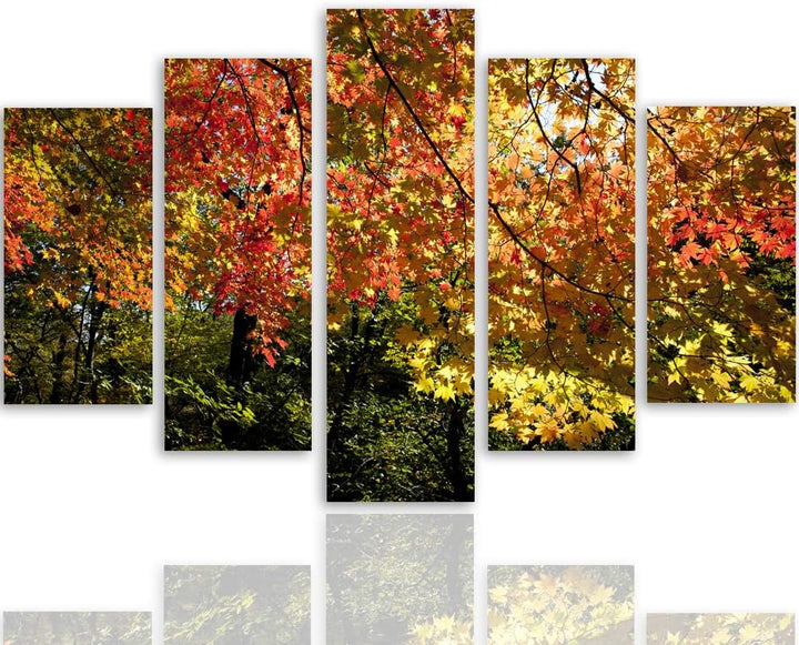 Feeby Leinwandbild Landschaft 5 TLG Bild Kunstdruck Blätter Bäume Wald bunt 100x70 cm Leinwandbild 1