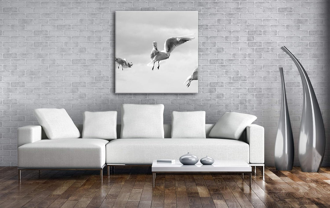 deyoli in Freiheit Fliegende Möwen im Format: 70x70 Effekt: Schwarz&Weiss als Leinwandbild, Motiv au