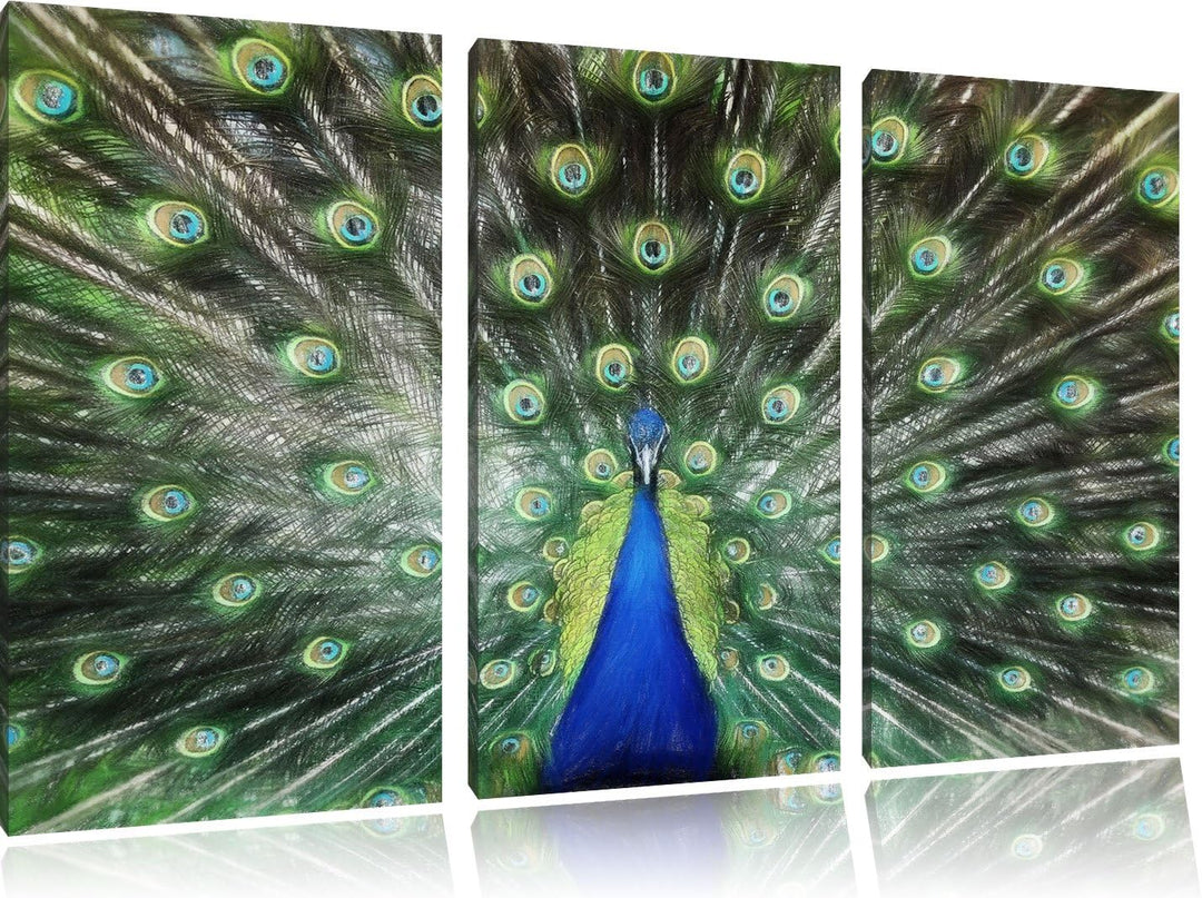 Pixxprint Schöner Pfau mit seinem Gefieder Kunst Buntstift Effekt 3-Teiler Leinwandbild 120x80 Bild