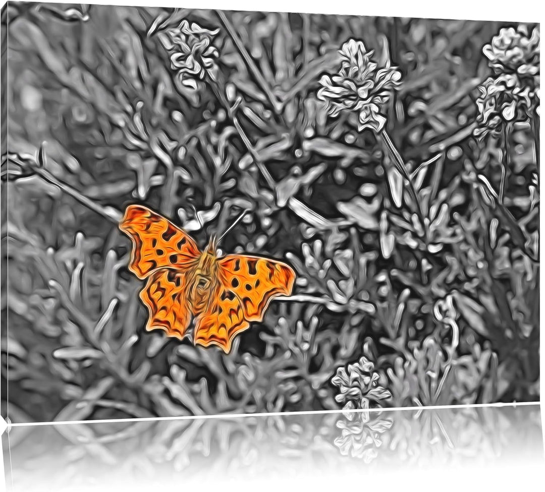 schöner Schmetterling auf Blumenwiese schwarz/weiss Deluxe Format: 100x70 cm auf Leinwand, XXL riesi