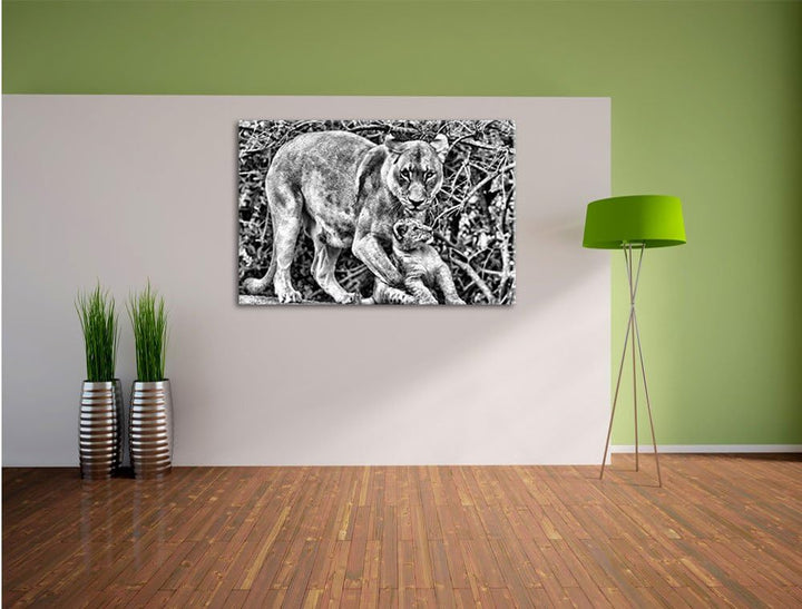 Pixxprint Löwin spielt mit Jungtier als Leinwandbild/Grösse: 100x70 / Wandbild/Kunstdruck/fertig bes