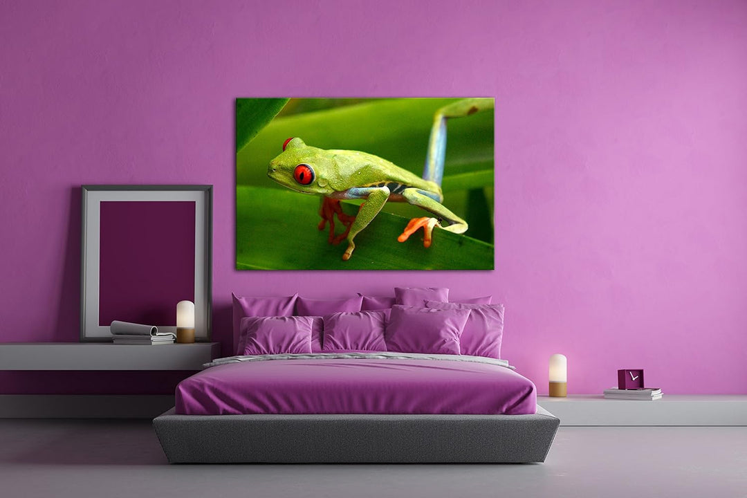 deyoli Exotischer Grüner Frosch mit roten Augen Format: 80x60 als Leinwandbild, Motiv fertig gerahmt