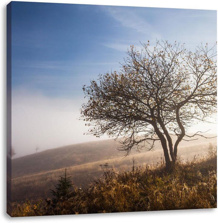 Pixxprint Baum im hohen Gras als Leinwandbild | Grösse: 70x70 cm | Wandbild | Kunstdruck | fertig be