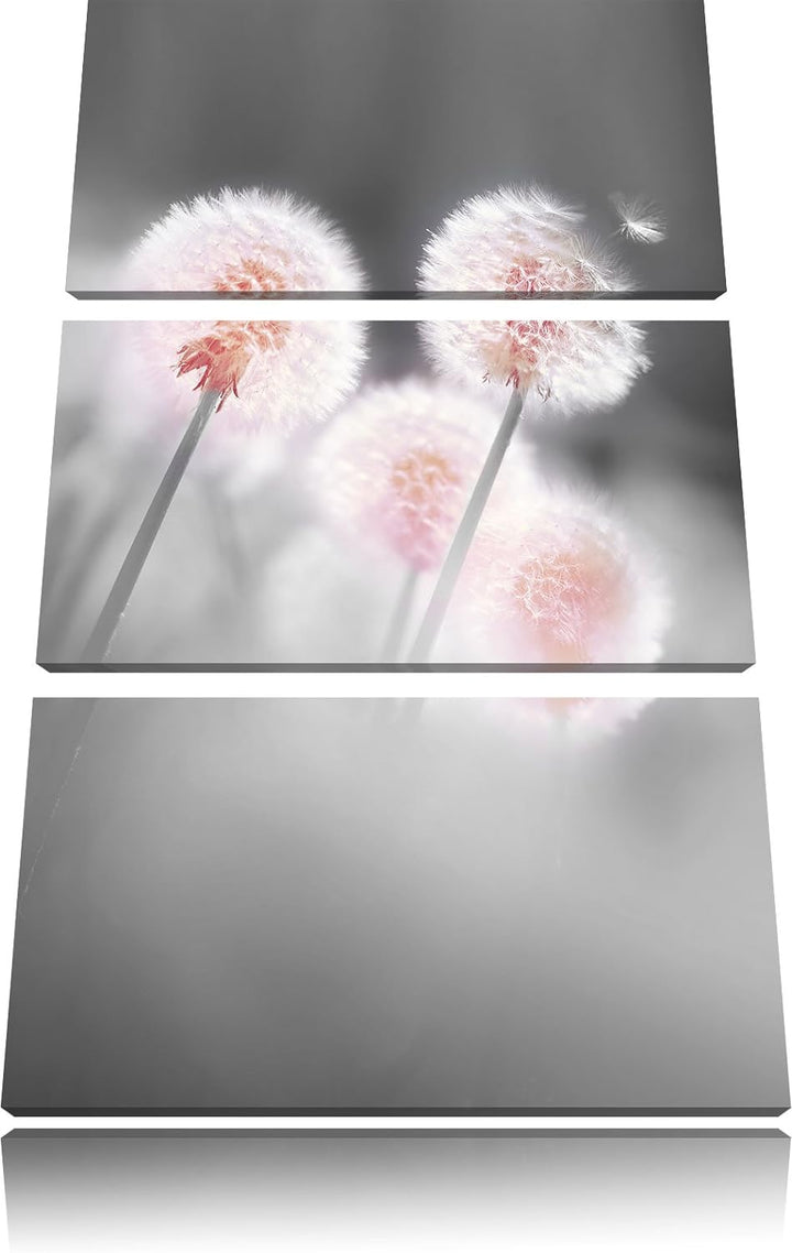 Pixxprint Pusteblumen im morgendlichen Wind B&W Detail 3-Teiler Leinwandbild 120x80 Bild auf Leinwan