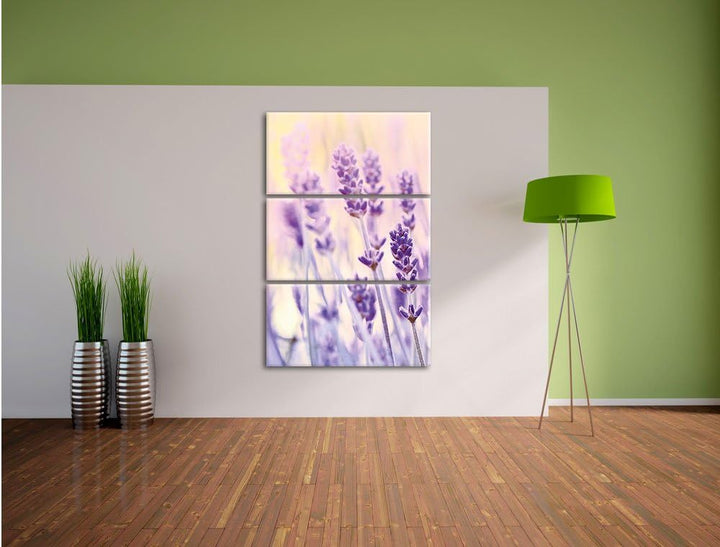 Pixxprint Lavendel / 3-Teilig/Gesamtmass 120cm Leinwandbild bespannt auf Holzrahmen/Wandbild Kunstdr