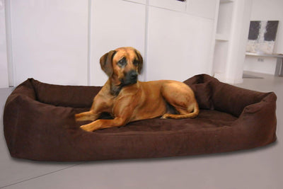 tierlando® Orthopädisches Hundebett Pluto Ortho VISCO Viscoschaum aus weichem Velours Grösse: PLV3 9