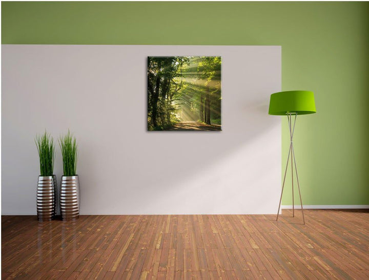 Pixxprint Sonniger Waldweg im Frühling, Format: 70x70 auf Leinwand, 70x70