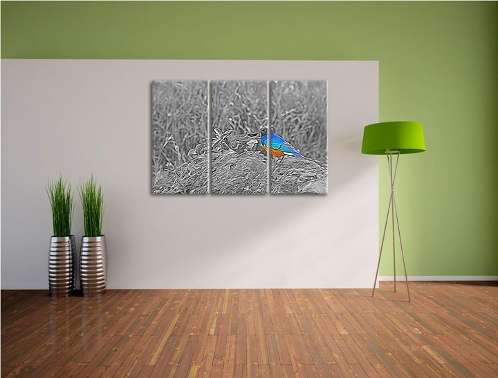 prächtige Dreifarben-Glanzstare auf einem Stein schwarz/weiss Spezial 3-Teiler Leinwandbild 120x80 B