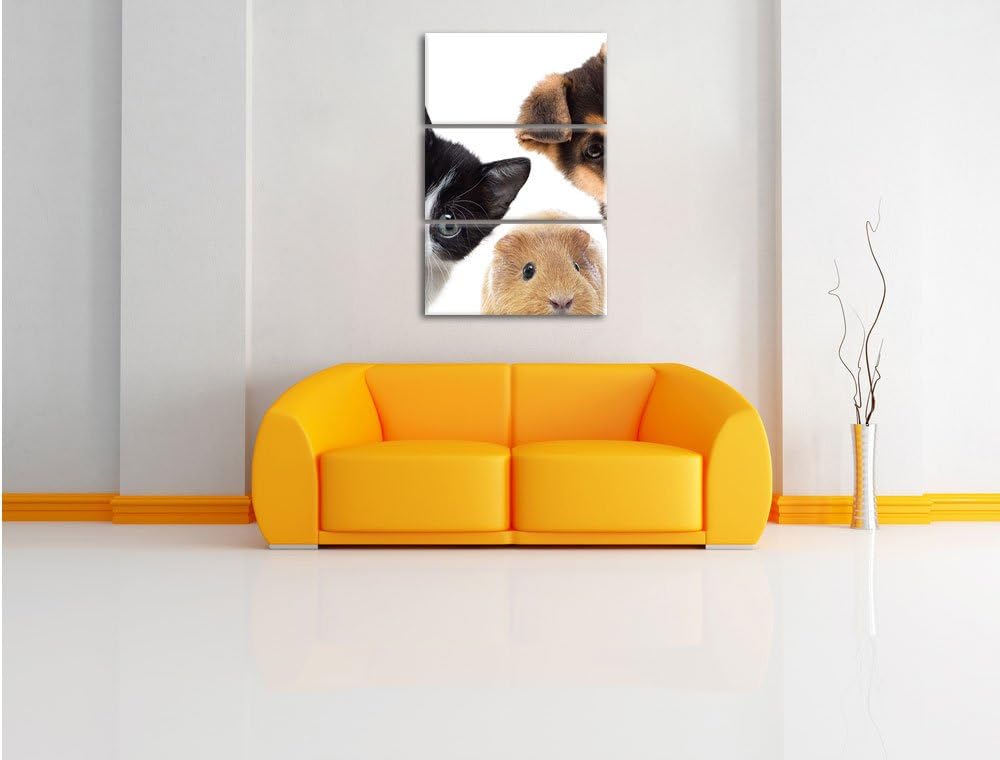 Pixxprint Trio Hund Katze Meerschwein / 3-Teilig/Gesamtmass 120cm Leinwandbild bespannt auf Holzrahm