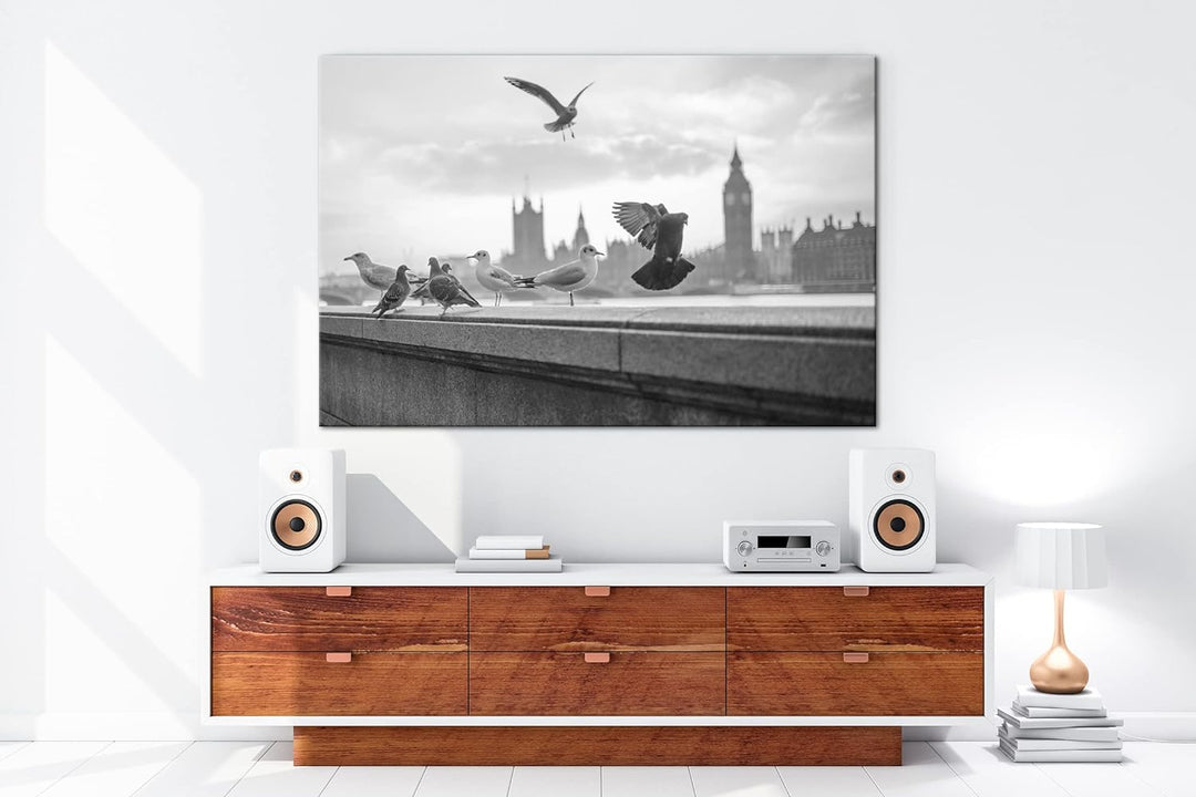 deyoli Tauben in London Format: 80x60 cm Effekt: Schwarz&Weiss als Leinwandbild, Motiv fertig gerahm