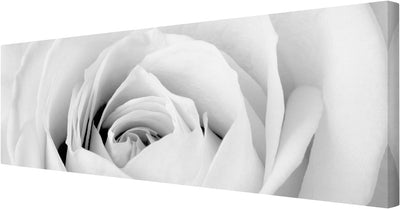 Bilderwelten Leinwandbild Schwarz-Weiss - Close Up Rose - Panoramabild Quer, 30cm x 90cm, 30cm x 90c