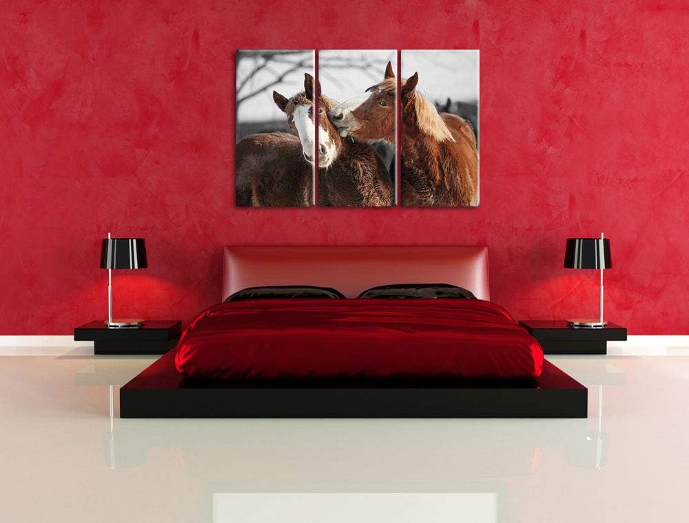 zwei braune Ponys schwarz/weiss 3-Teiler Leinwandbild 120x80 Bild auf Leinwand, XXL riesige Bilder f