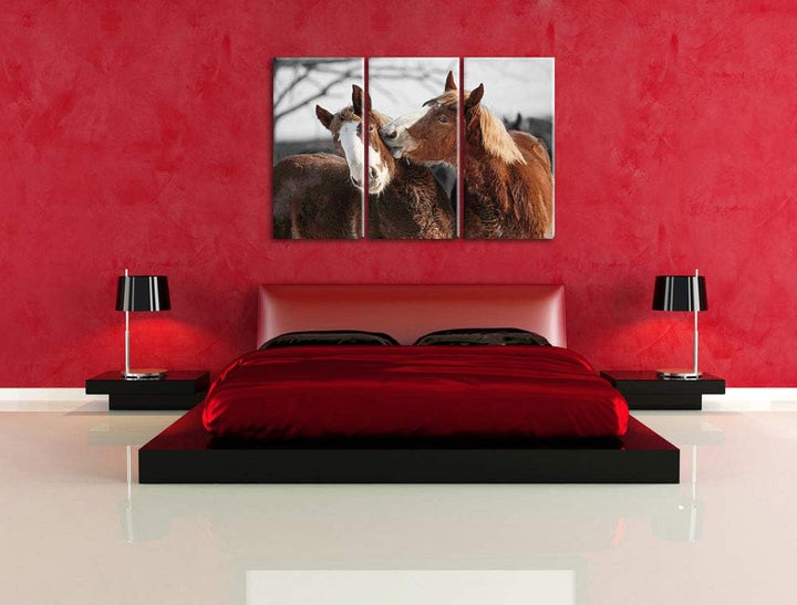 zwei braune Ponys schwarz/weiss 3-Teiler Leinwandbild 120x80 Bild auf Leinwand, XXL riesige Bilder f