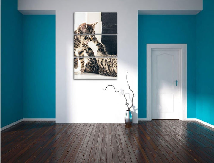 Pixxprint Fighting Cats 3-Teiler Leinwandbild 120x80 Bild auf Leinwand