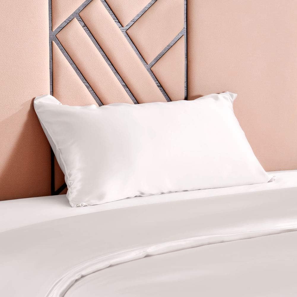 THXSILK Luxus 100% 19 Momme Seide Kissenbezug Kissenhülle mit Reissverschluss - Seide Kissen Bezug -