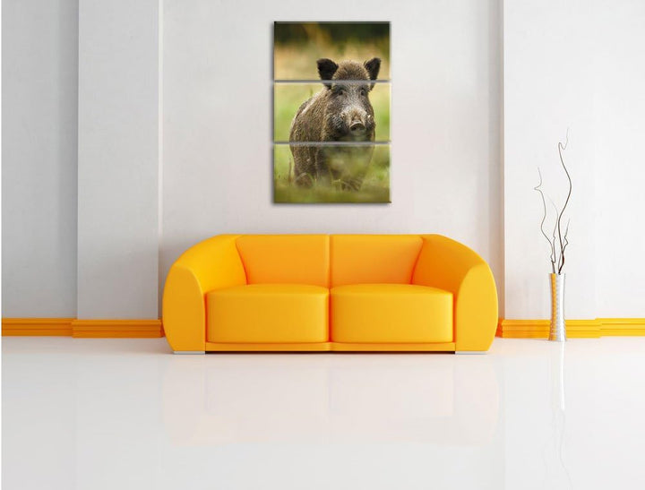 Pixxprint Wildschwein auf Wiese als Leinwandbild | Grösse: 3 Teilig (120x80) | Wandbild| Kunstdruck