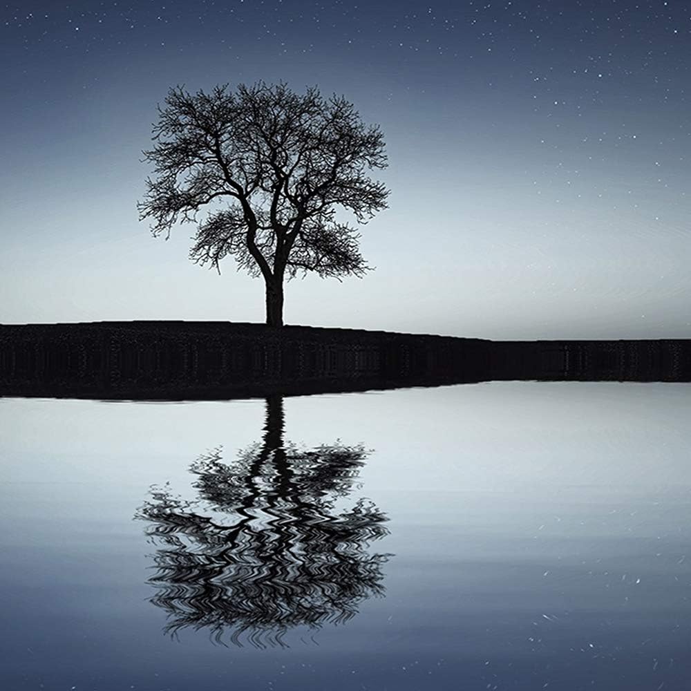 Feeby Wandbild Abstrakt 200x100 cm Deco Panel 5 Teilig XXL Kunstdruck Baum Wasser blau Deco Panel XX