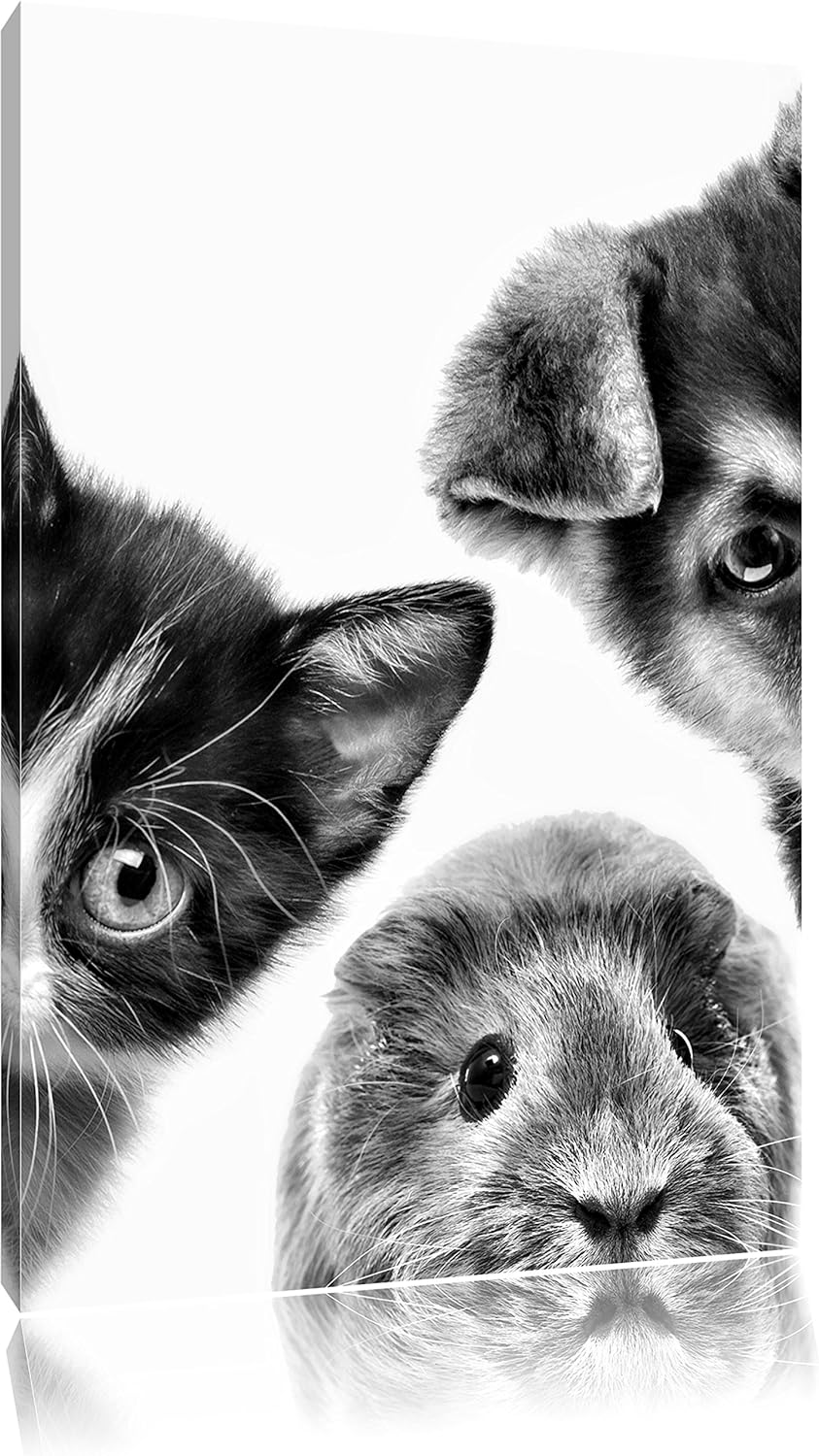Pixxprint Trio Hund Katze Meerschwein / 100x70cm Leinwandbild bespannt auf Holzrahmen/Wandbild Kunst