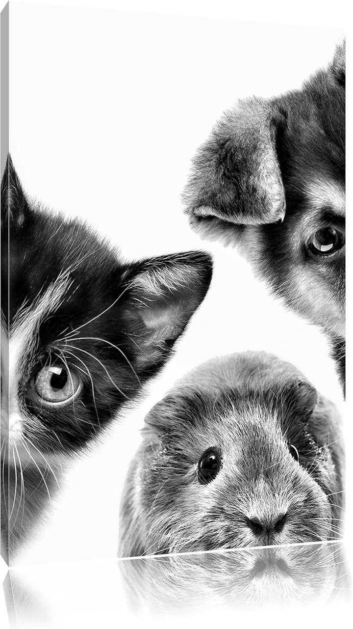 Pixxprint Trio Hund Katze Meerschwein / 100x70cm Leinwandbild bespannt auf Holzrahmen/Wandbild Kunst