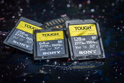 Sony 256GB SF-G Series Tough Memory Card, Schwarz 256 GB, 256 GB