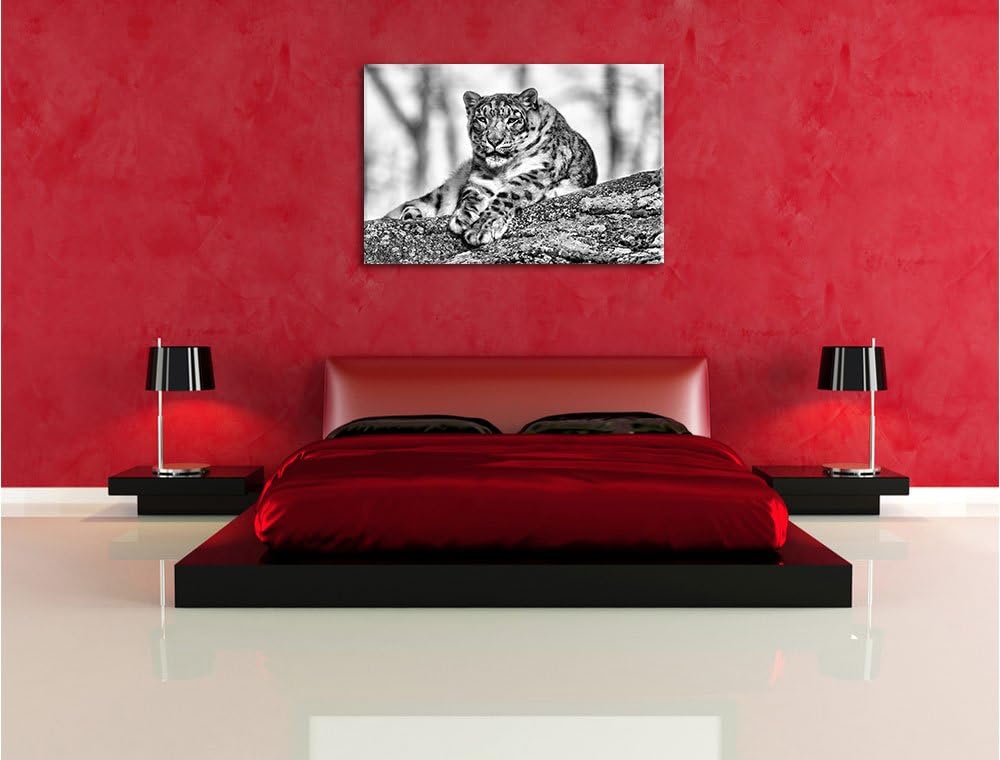 Pixxprint Schneeleopardin / 100x70cm Leinwandbild bespannt auf Holzrahmen/Wandbild Kunstdruck Dekora