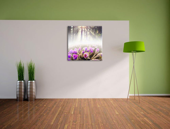 Pixxprint blühende lila Blumen im Wald, Format: 70x70 auf Leinwand, 70x70